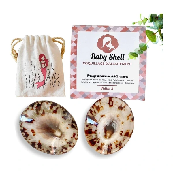 Baby Shell Coquillages Naturels (Taille S)